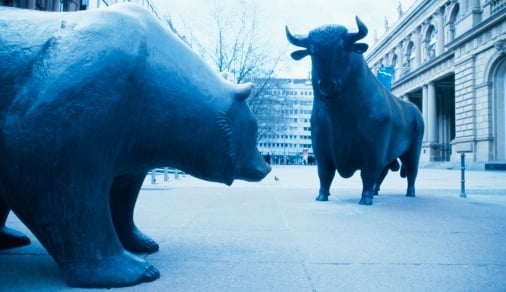 Bull and Bear Market