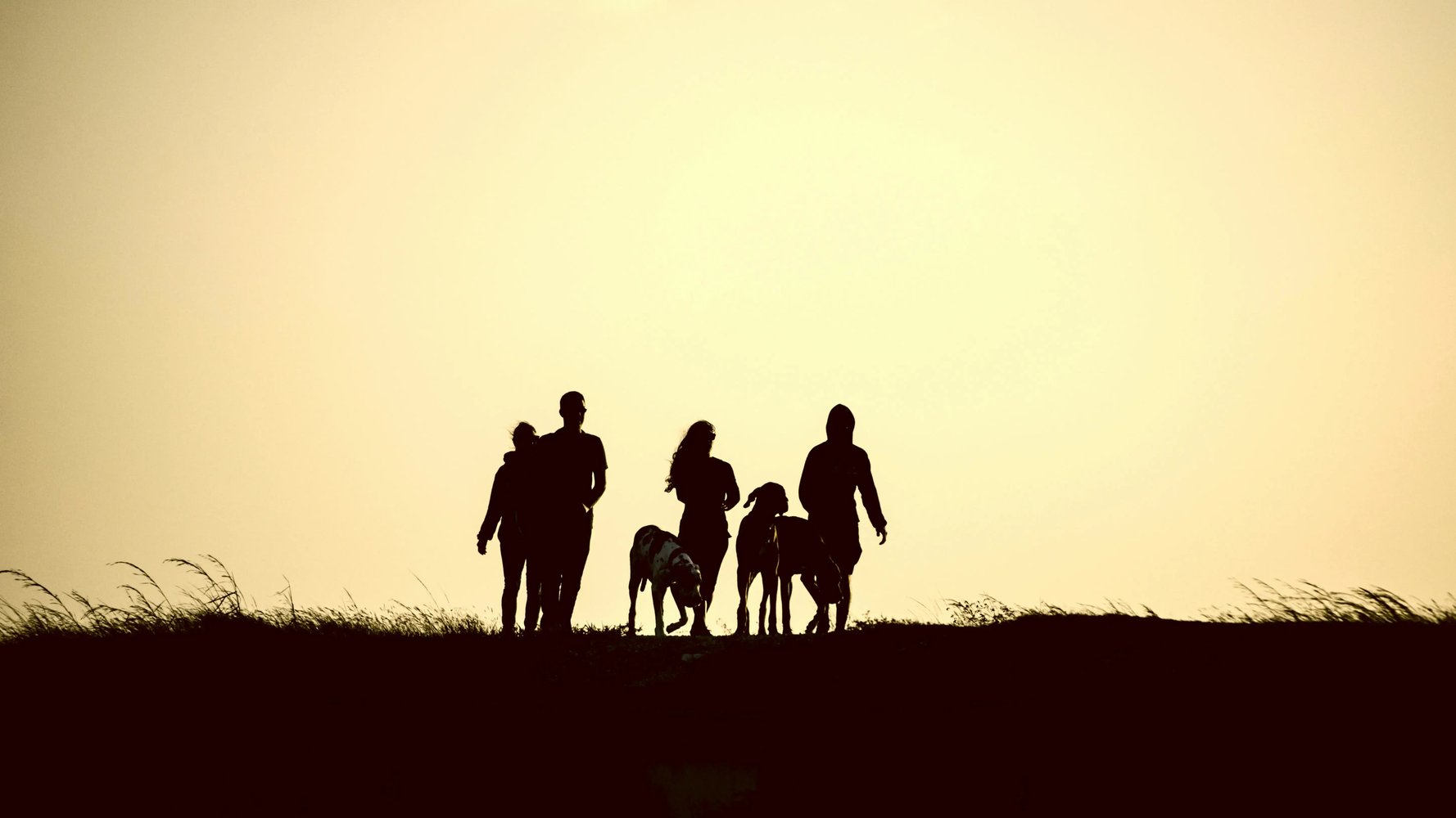 Family walking in nature at sunset with dogs, reflecting wellbeing, connection and long-term security