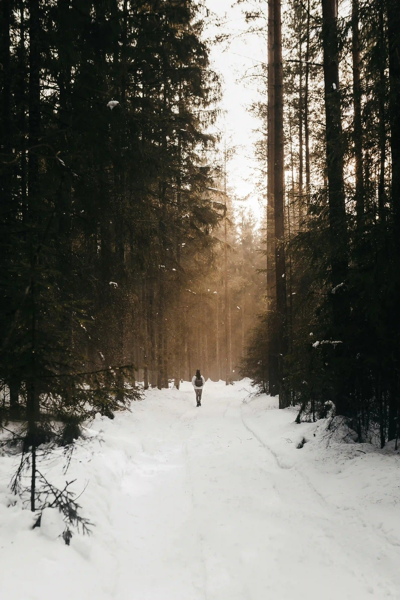 Hiker exploring a snowy trail through a forest, reflecting resilience, preparation and steady progress