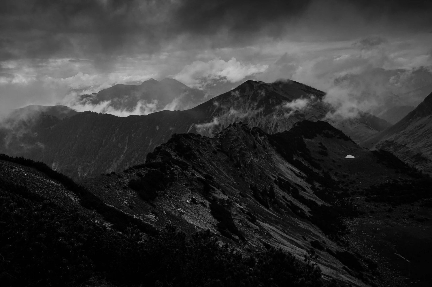 Misty mountain ridge with trees in black and white, reflecting perspective, resilience and long-term stability