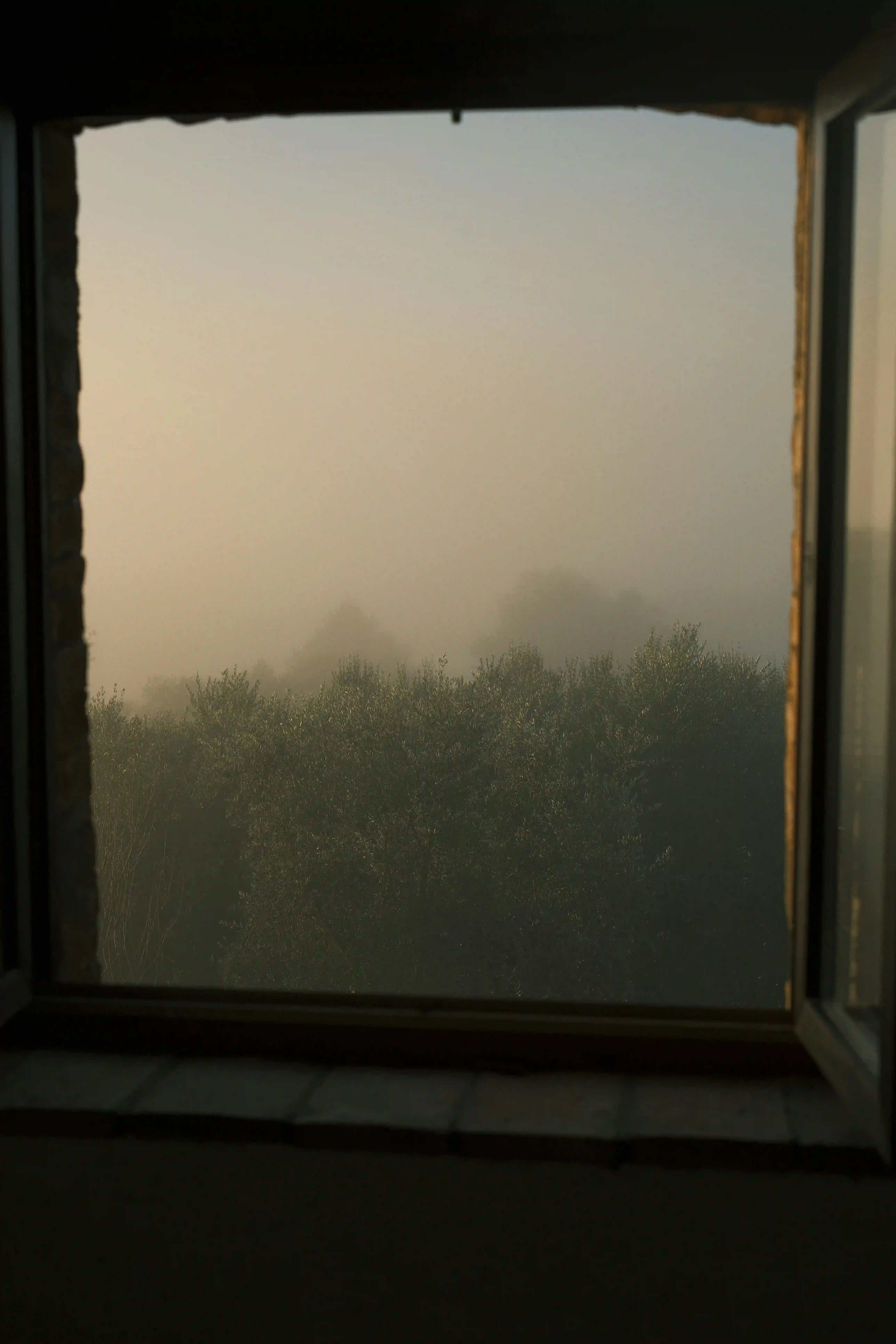 Misty view from a window at dawn, reflecting perspective, calm and new possibilities
