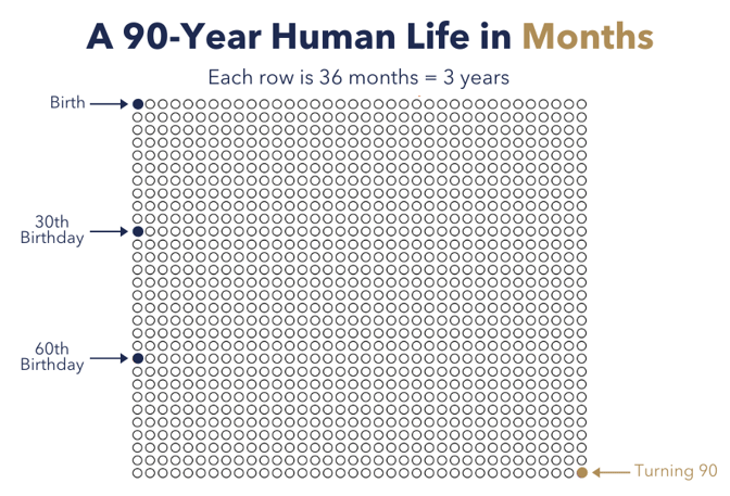 A 90 year human life in months