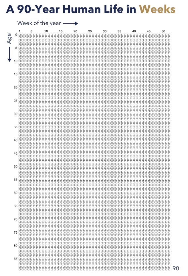 A 90 year human life in weeks