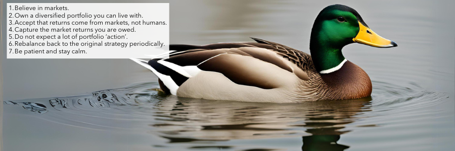 Duck above the water (2)