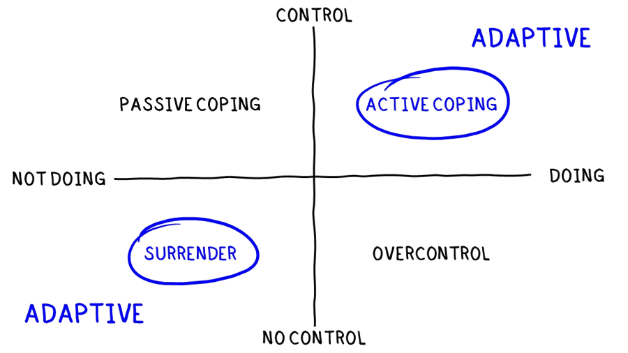 Transitions_Adaptive