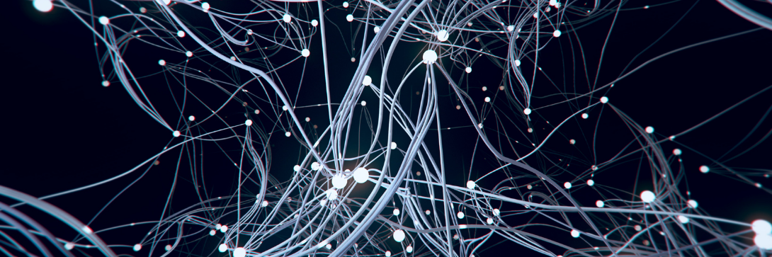 The layers of the brain