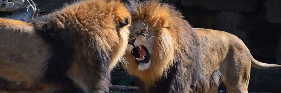 The financial media isn't your friend [plus 2 ways it impacts returns]