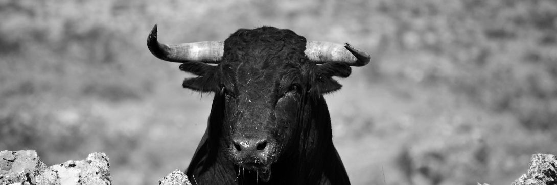 3 lessons for those fearful of the markets