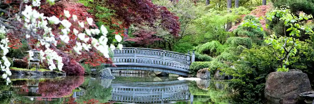 7 Japanese concepts to transform your life