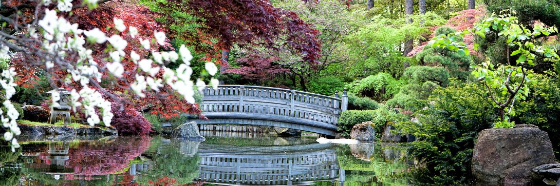 7 Japanese concepts to transform your life
