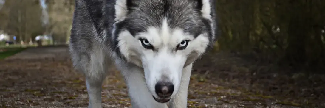 Right, listen up, it’s time to address the ‘big, bad’ volatility issue in the room