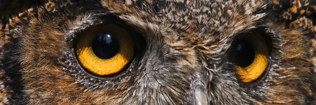 What I'm reading #27: 'Classic' nuggets for meteoric financial success