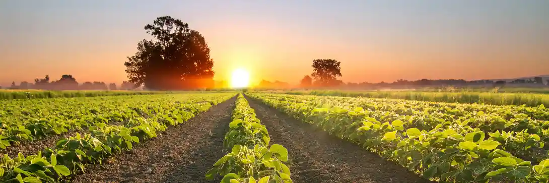 How to maximise your stock market returns