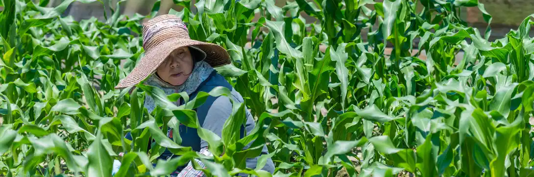 Longer, better, happier: Unveiling the surprising key to longevity in retirement