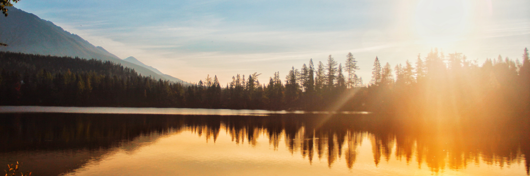 What I'm reading #11: Learn to quiet your mind and reflect
