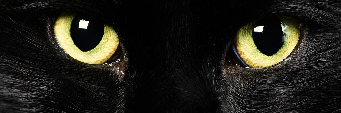 If you're superstitious, here's the best way to invest