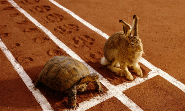 Active vs Passive Investing: The tortoise and the hare