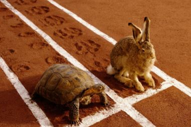 Active vs Passive Investing: The tortoise and the hare