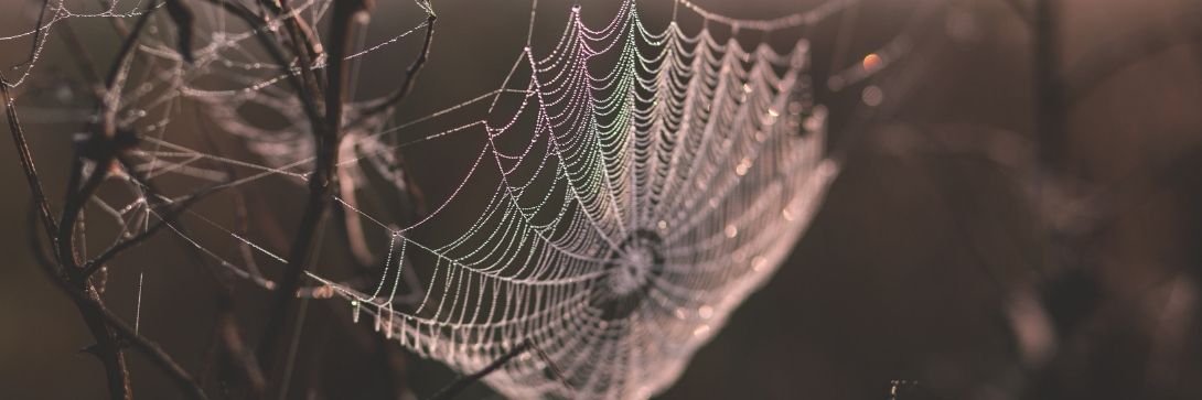 The worrying reason active managers like complexity
