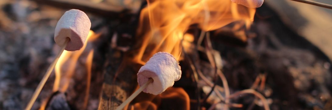 What I'm reading #48: Eat your marshmallows, but keep some too
