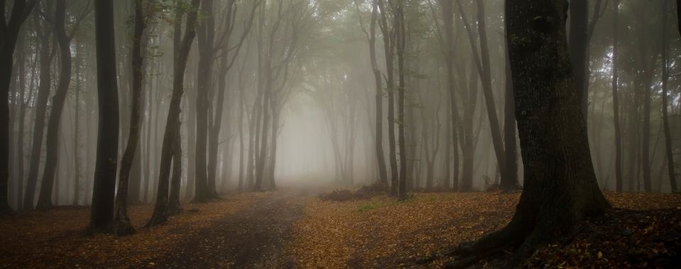 How to remove your fears about the market [5 easy ways]