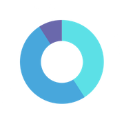 Moderate Portfolio AES