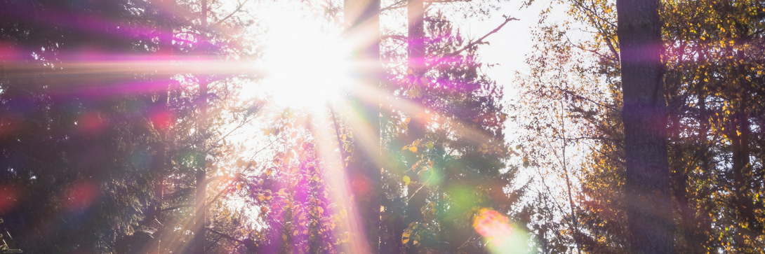 When index investing shines (and when it doesn’t)