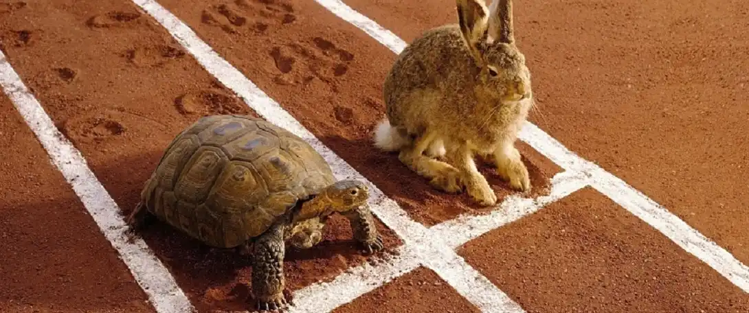 Passive vs active investing: Are you a tortoise or a hare?