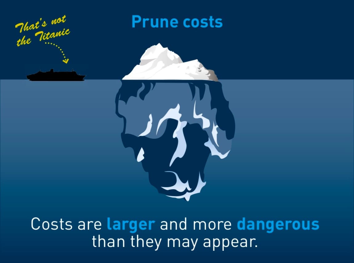 PruneCosts
