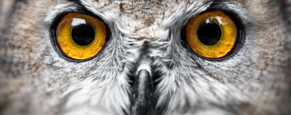 What I'm reading #34: Investment fears
