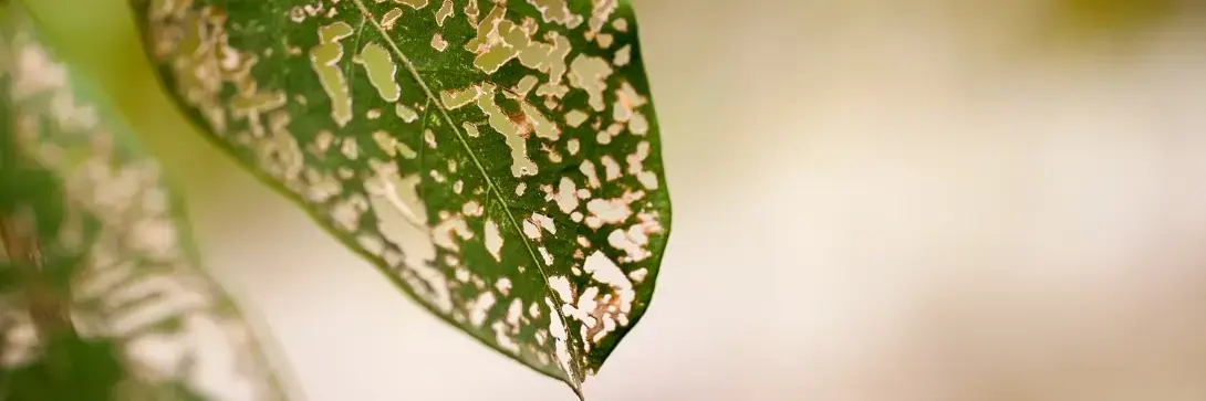 Why inflation is such a hot topic lately