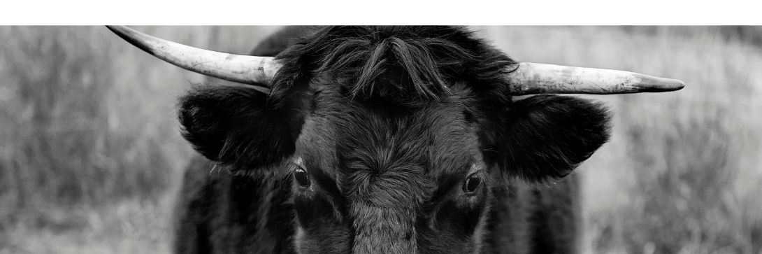 Yes, the bear market is awful right now. But your future self will thank you for doing this one thing