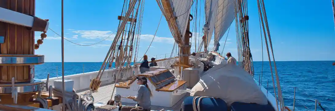 Are you more Patrick Swayze in Point Break or Christopher Columbus? (Because this says a lot about the type of investor you are).