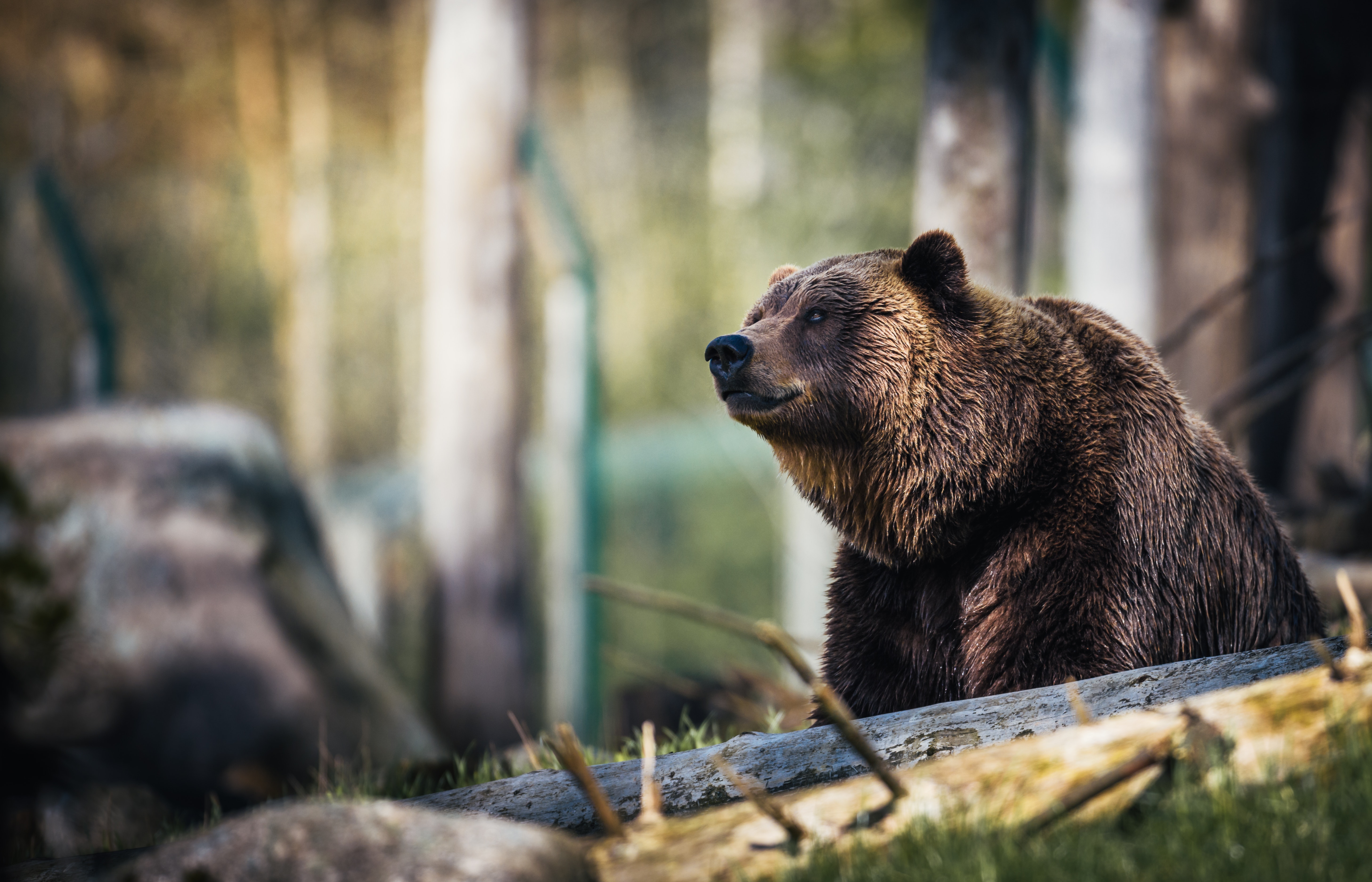 Why bear markets scare us (and why they shouldn’t)